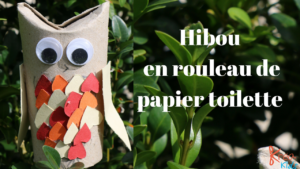 hibou en rouleau de papier toilette