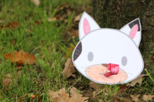 Activité pour enfant chat Activité pour enfant chat
