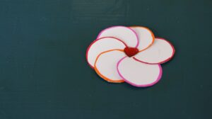 IMG_2604 (1)