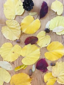Bricolage de l'automne pour enfant