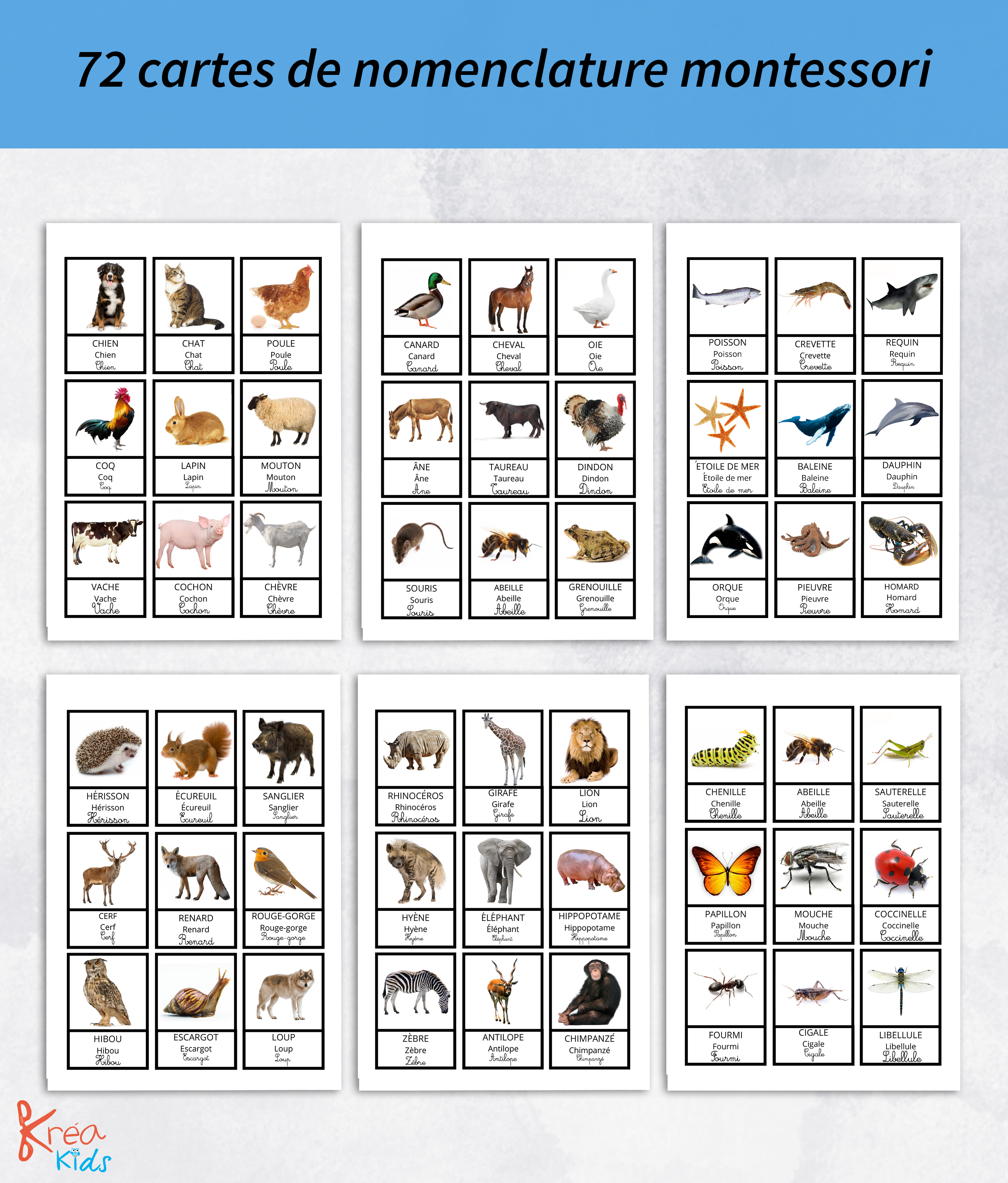 Jeu sur les animaux à imprimer, en avant la découverte – Image 3