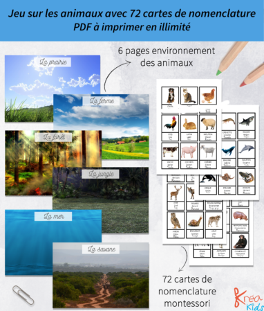 Jeu sur les animaux à imprimer, en avant la découverte