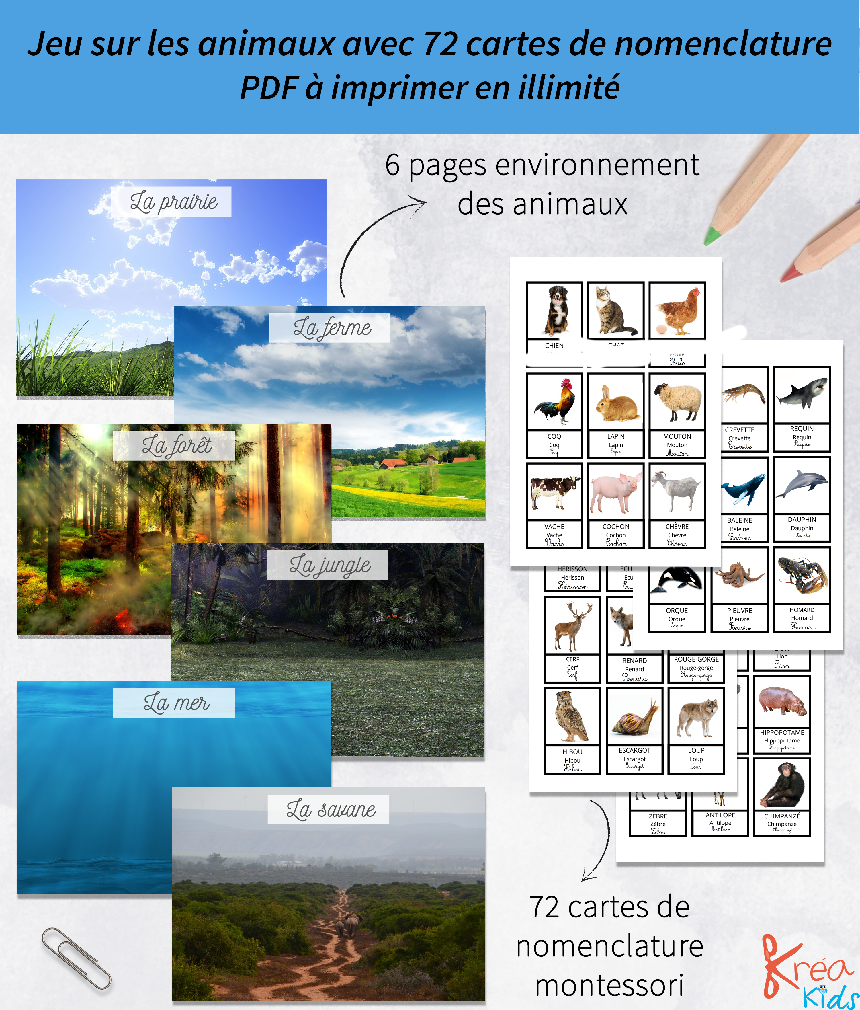 Jeu sur les animaux à imprimer, en avant la découverte