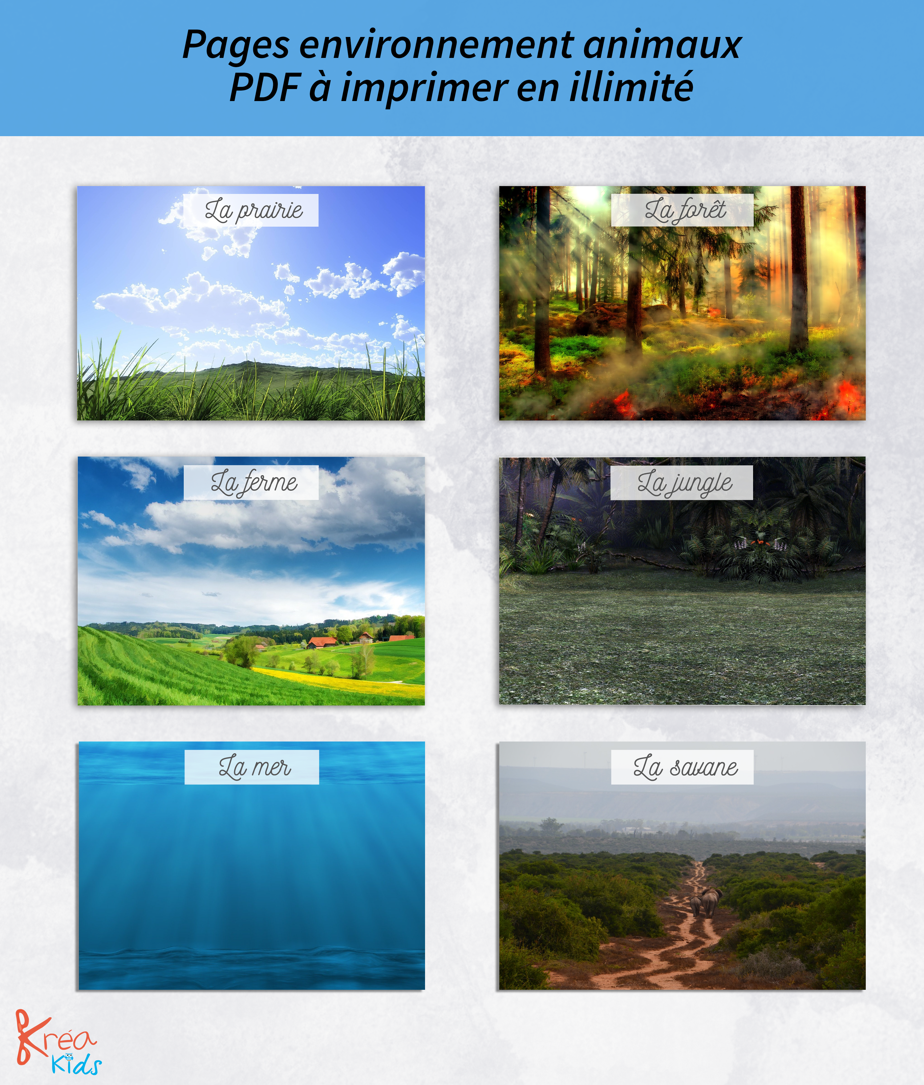 Jeu sur les animaux à imprimer, en avant la découverte – Image 2
