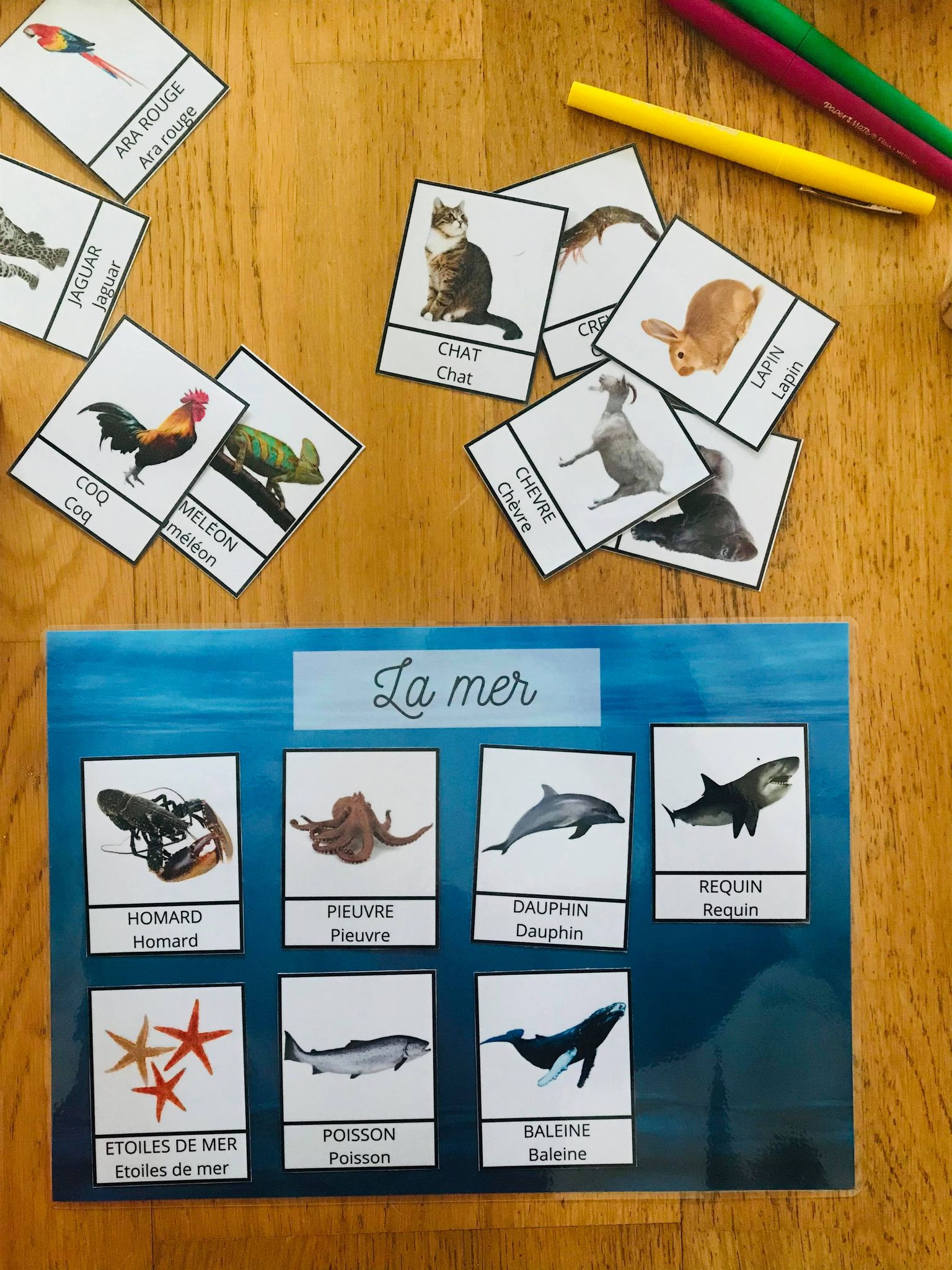 Jeu sur les animaux à imprimer, en avant la découverte – Image 8