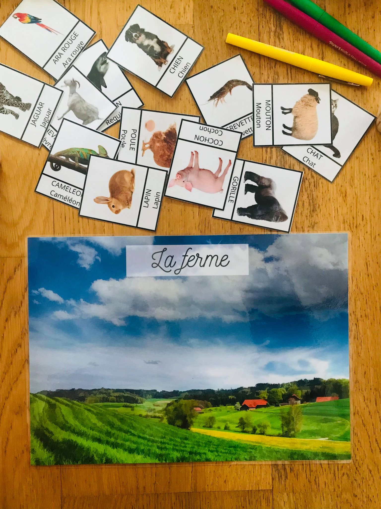 Jeu sur les animaux à imprimer, en avant la découverte – Image 7
