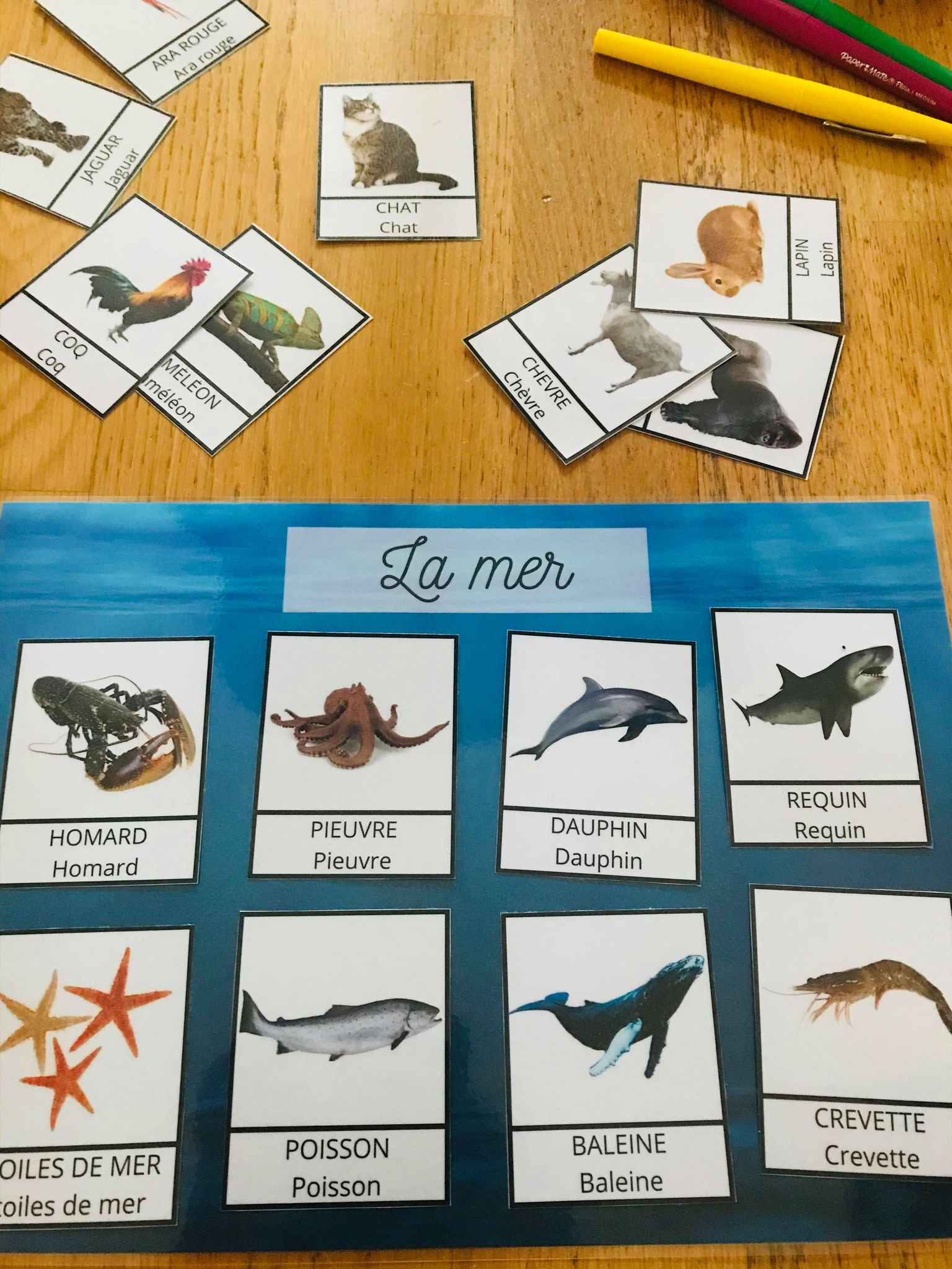 Jeu sur les animaux à imprimer, en avant la découverte – Image 10