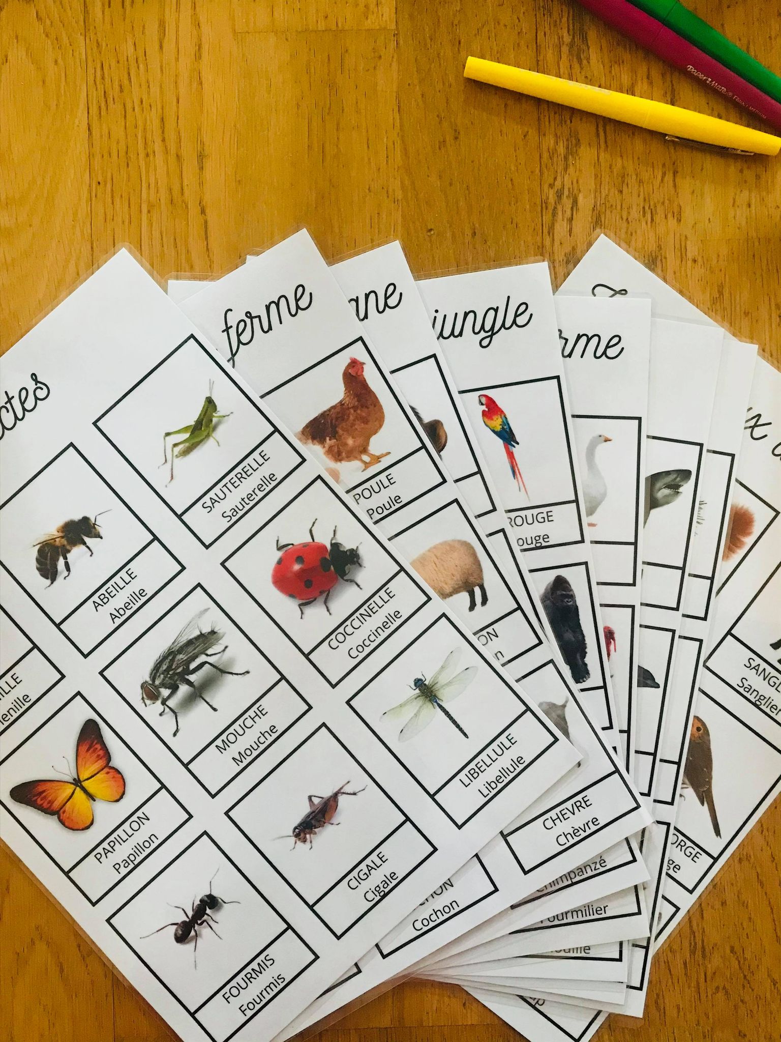 Jeu sur les animaux à imprimer, en avant la découverte – Image 4