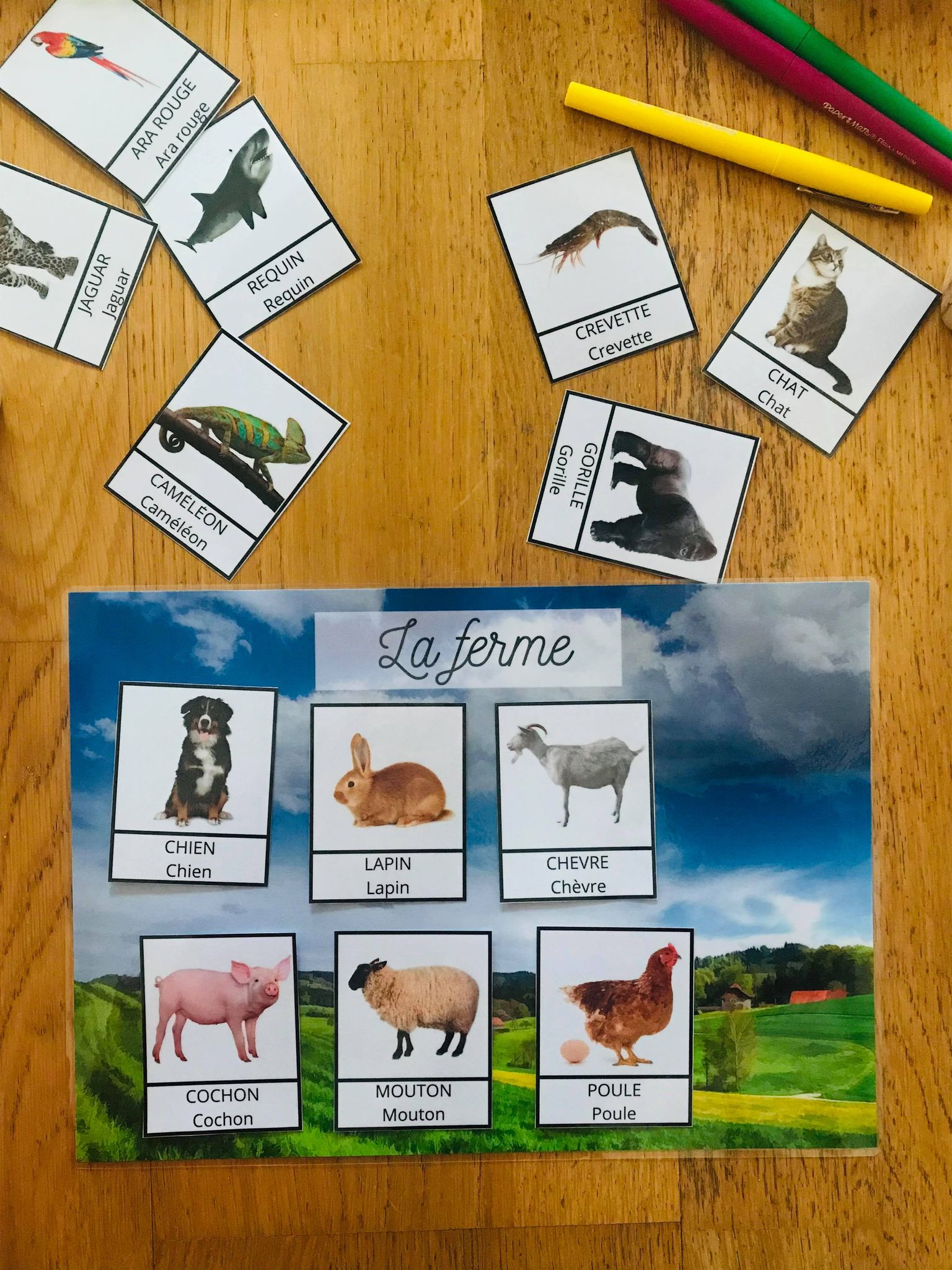 Jeu sur les animaux avec des cartes de nomenclature