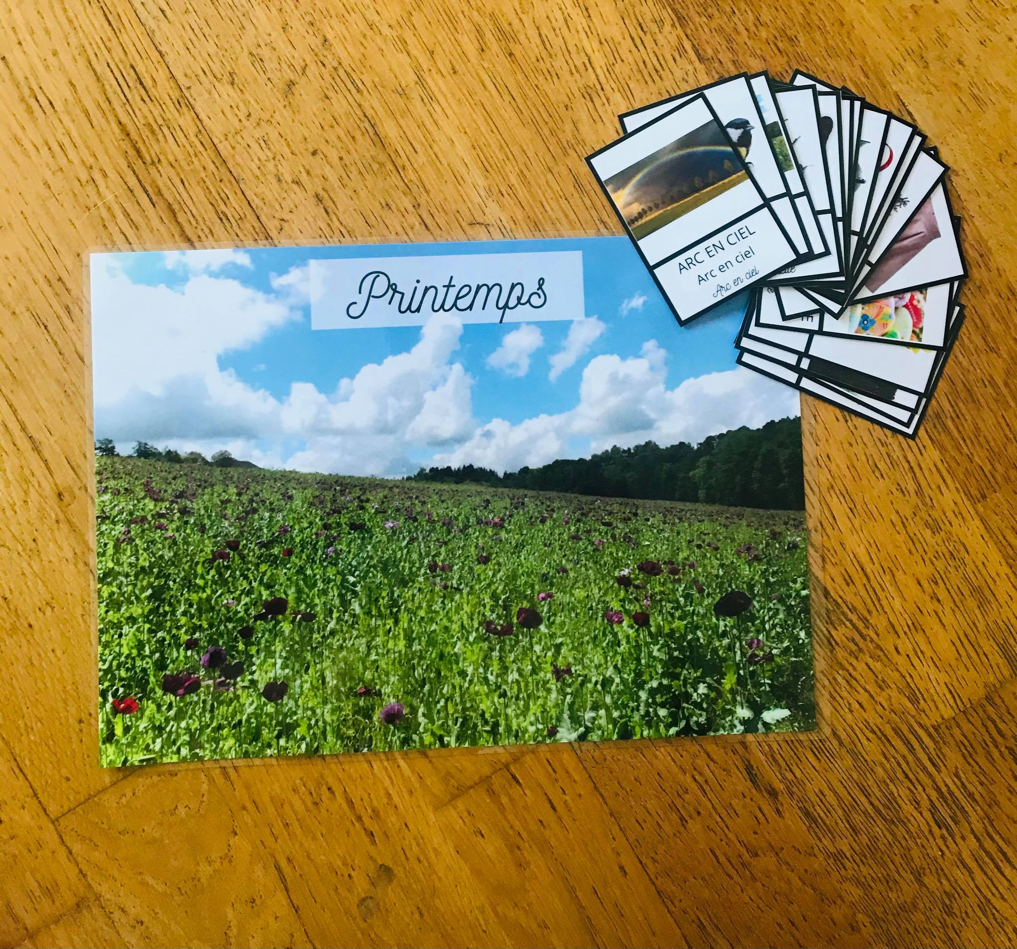 Jeu sur les 4 saisons carte de nomenclature à imprimer – Image 8