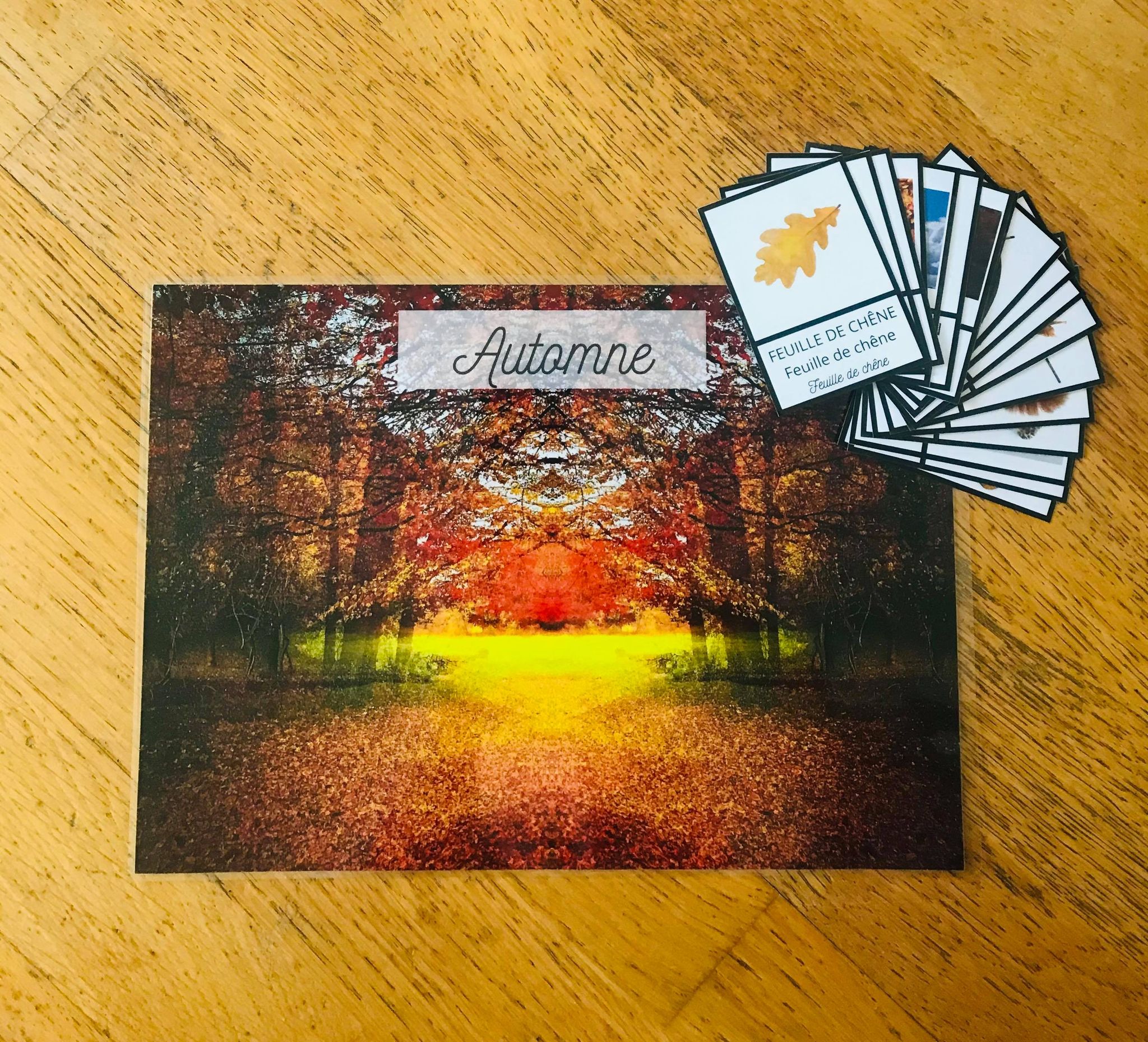 Jeu sur les 4 saisons carte de nomenclature à imprimer – Image 6