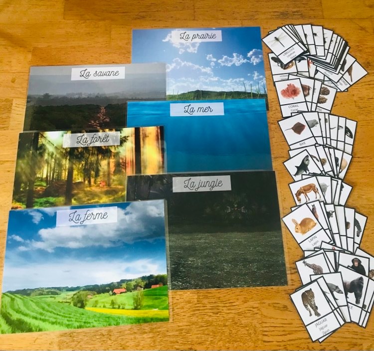 Jeu sur les animaux avec des cartes de nomenclature - Kreakids