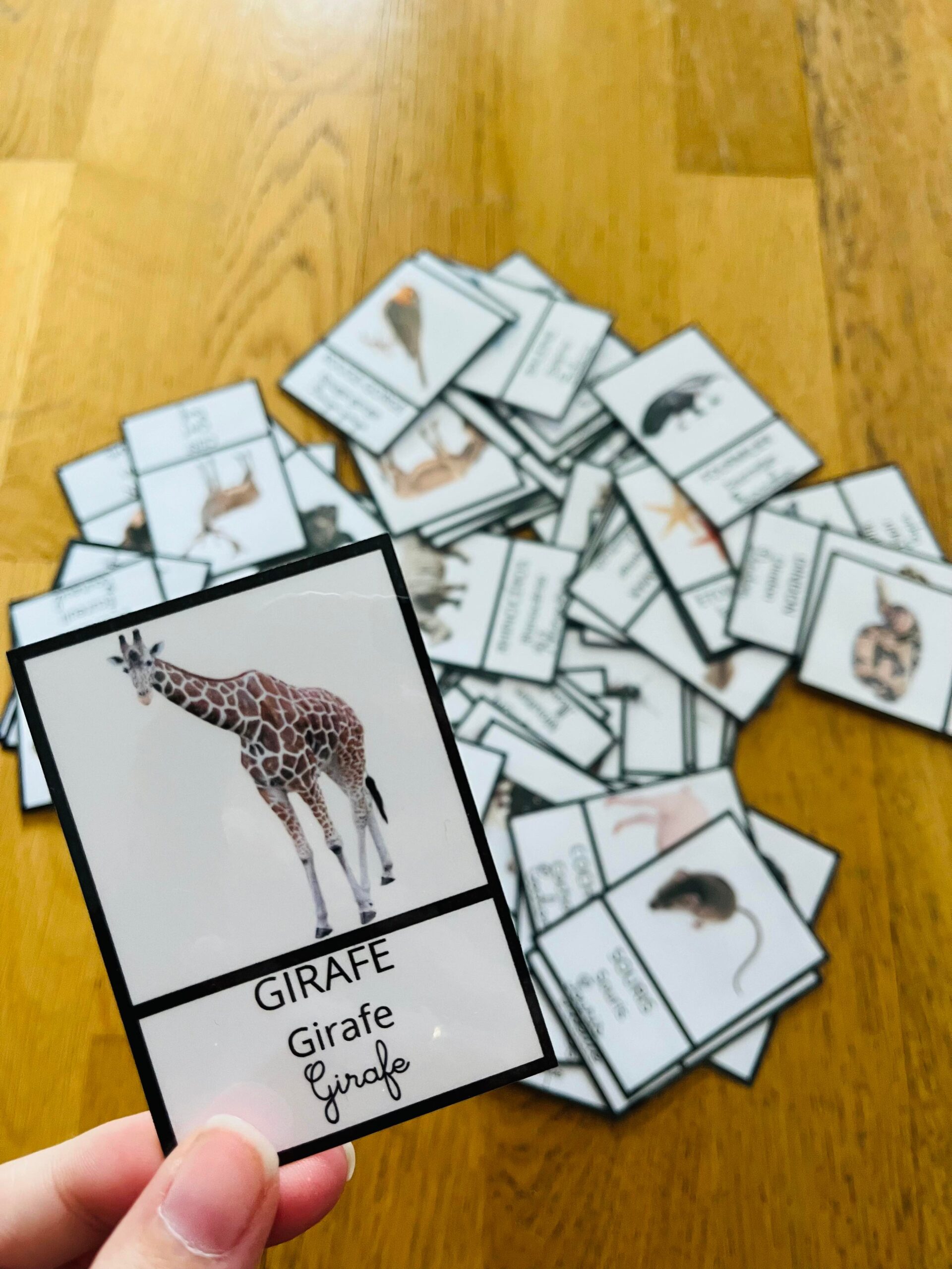 Jeu sur les animaux avec des cartes de nomenclature