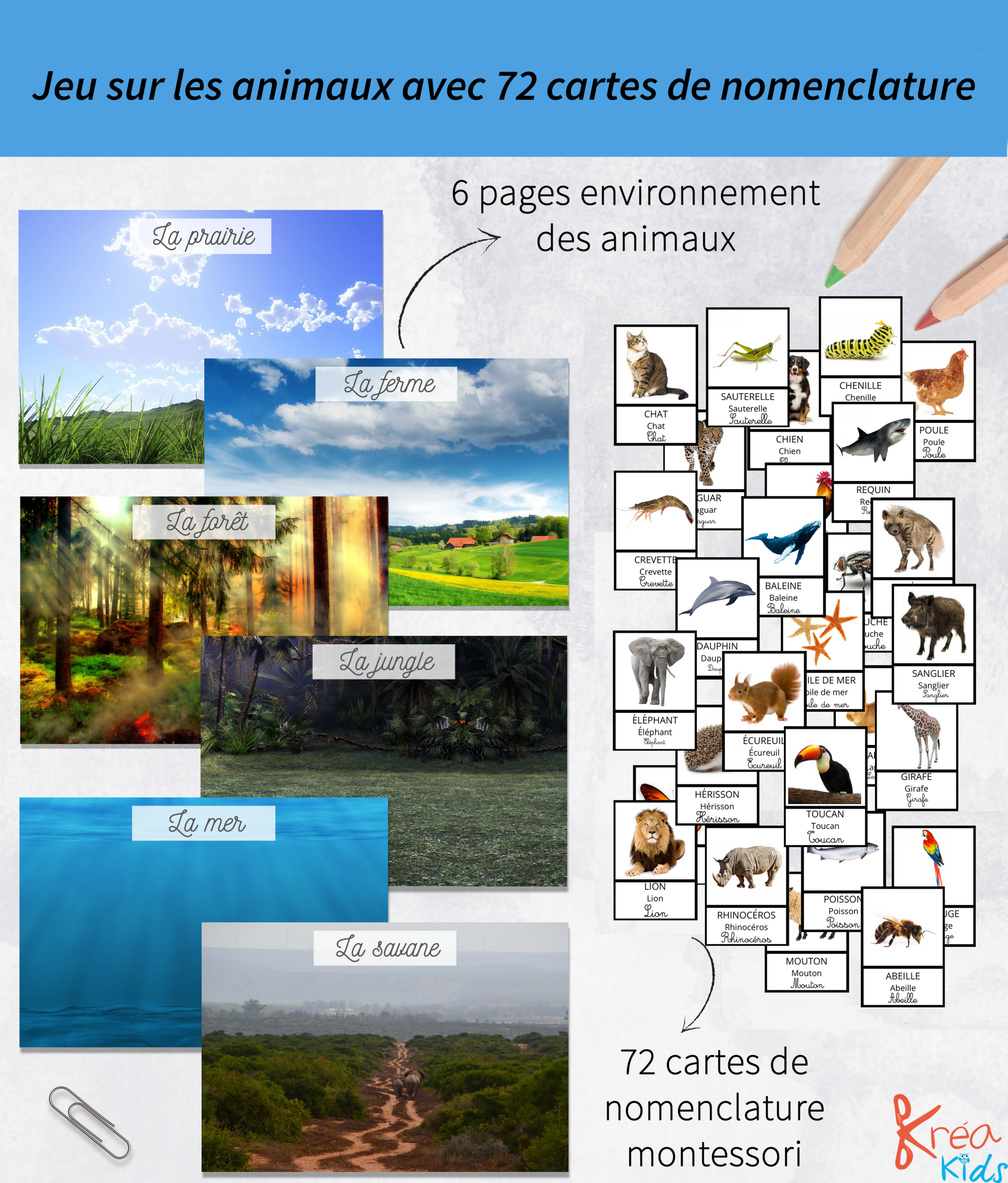 Jeu sur les animaux avec des cartes de nomenclature
