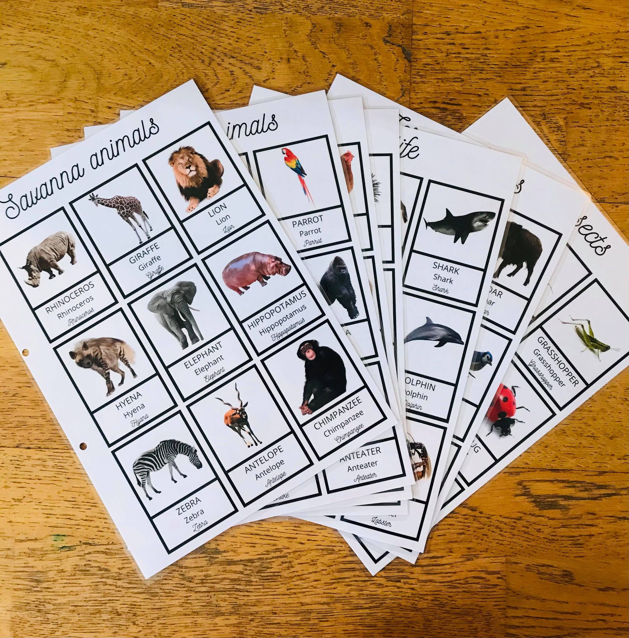 Livret activité anglais pour enfant en kit – Image 6
