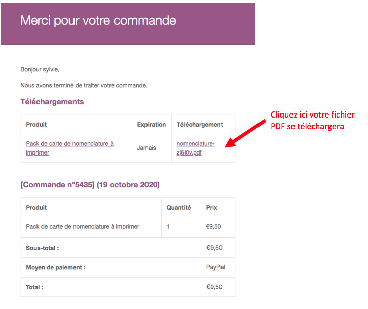 Activité d'initiation à l'anglais pour enfant
