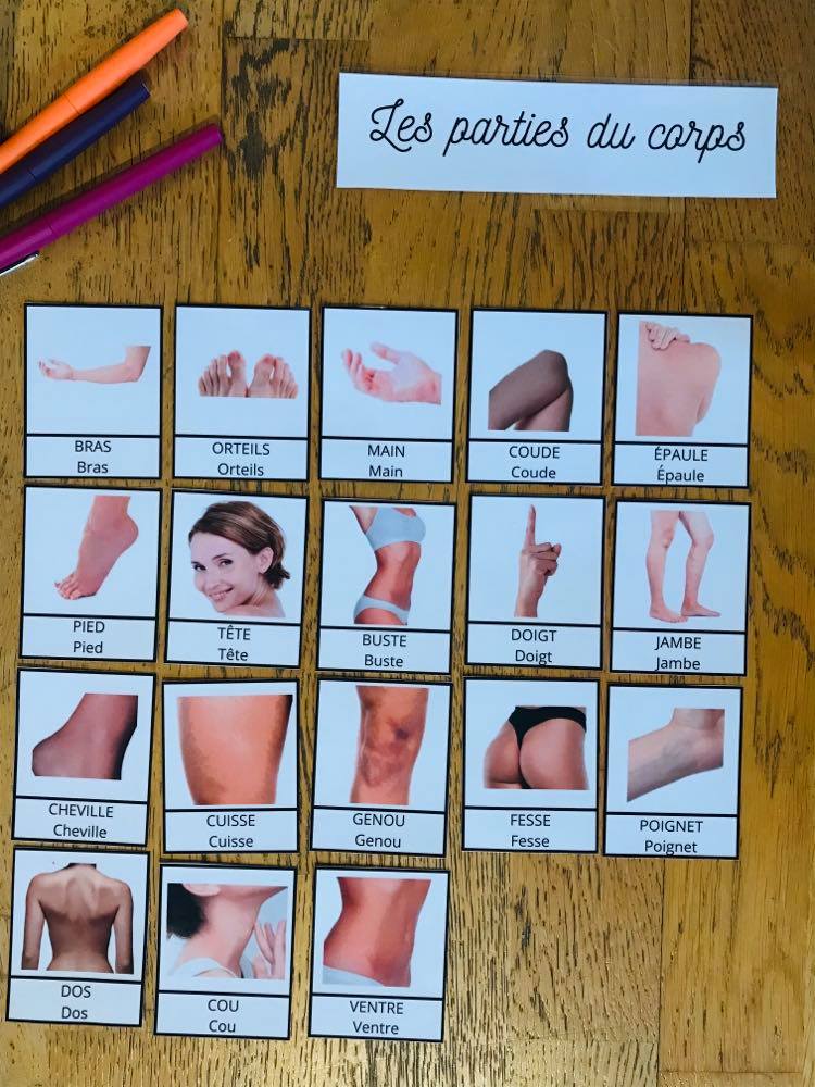 Méga pack de carte de nomenclature prête à l'emploi – Image 8