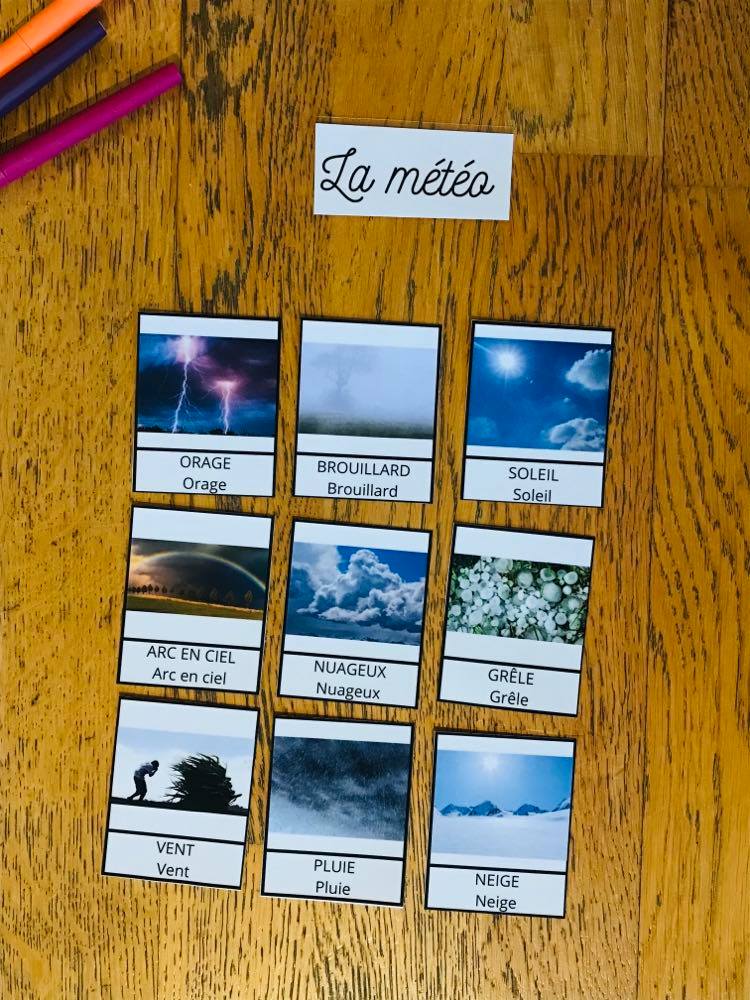 Méga pack de carte de nomenclature prête à l'emploi – Image 7