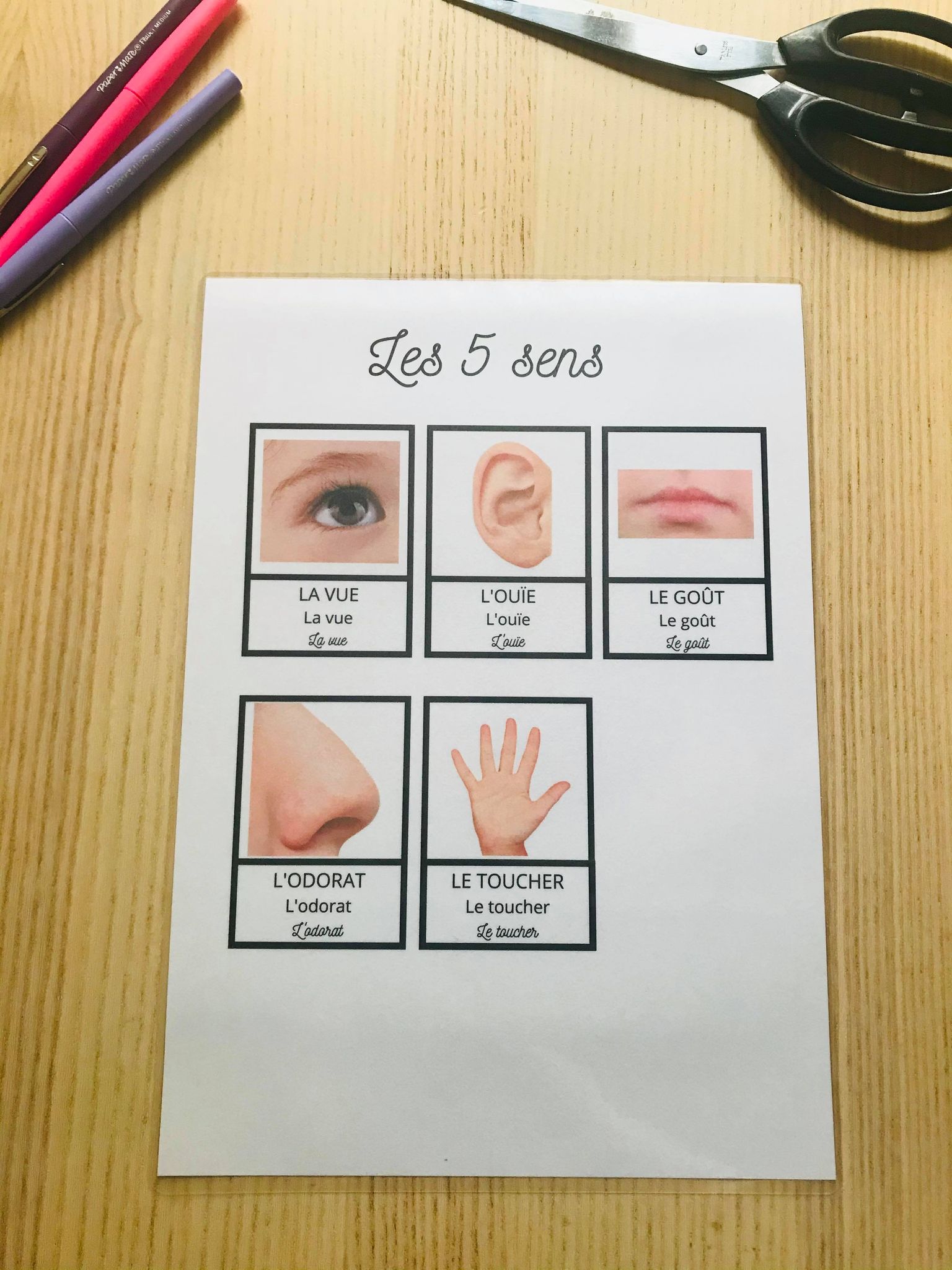 PDF quiet book du corps humain à imprimer – Image 22