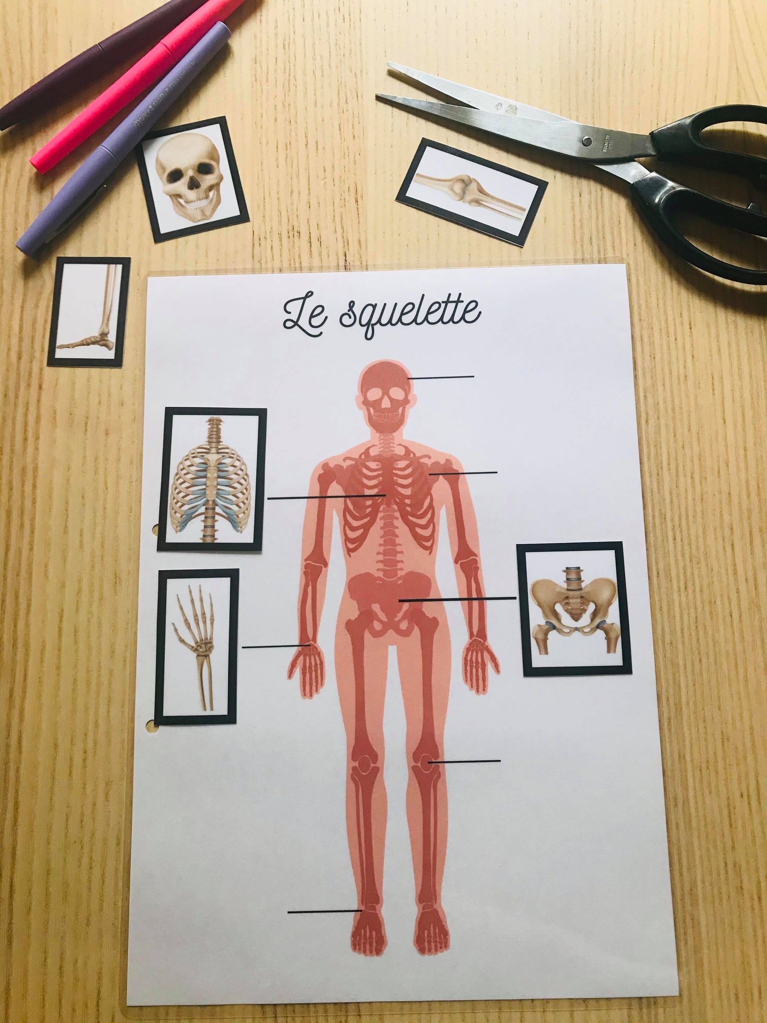 PDF quiet book du corps humain à imprimer – Image 19