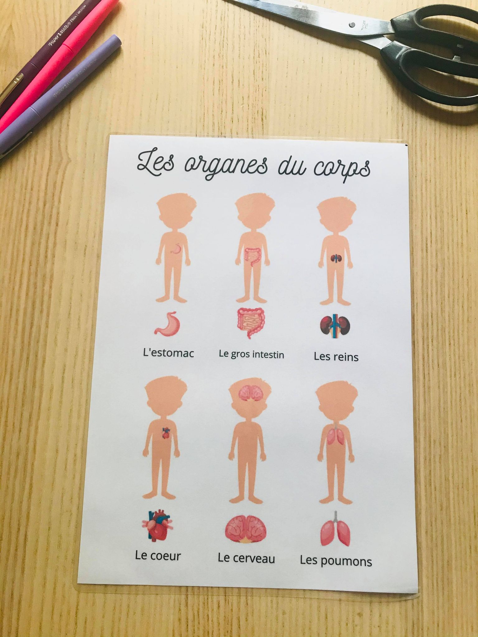 PDF quiet book du corps humain à imprimer – Image 18