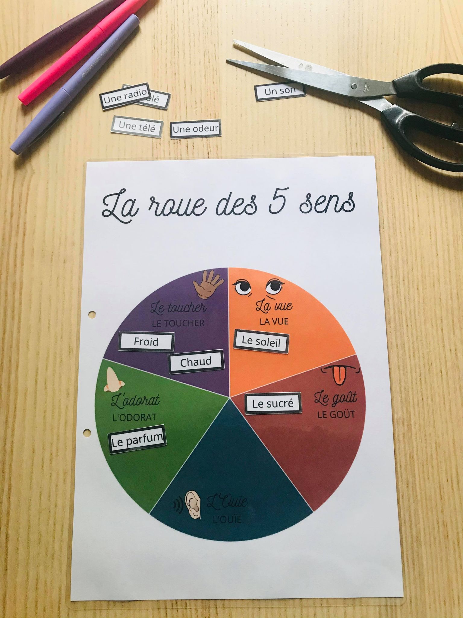 PDF quiet book du corps humain à imprimer – Image 17