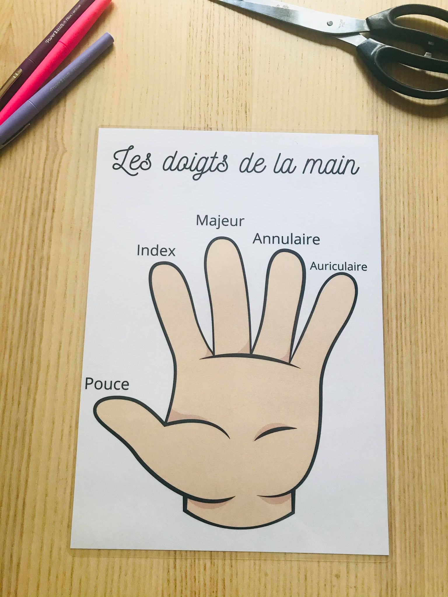 PDF quiet book du corps humain à imprimer – Image 15