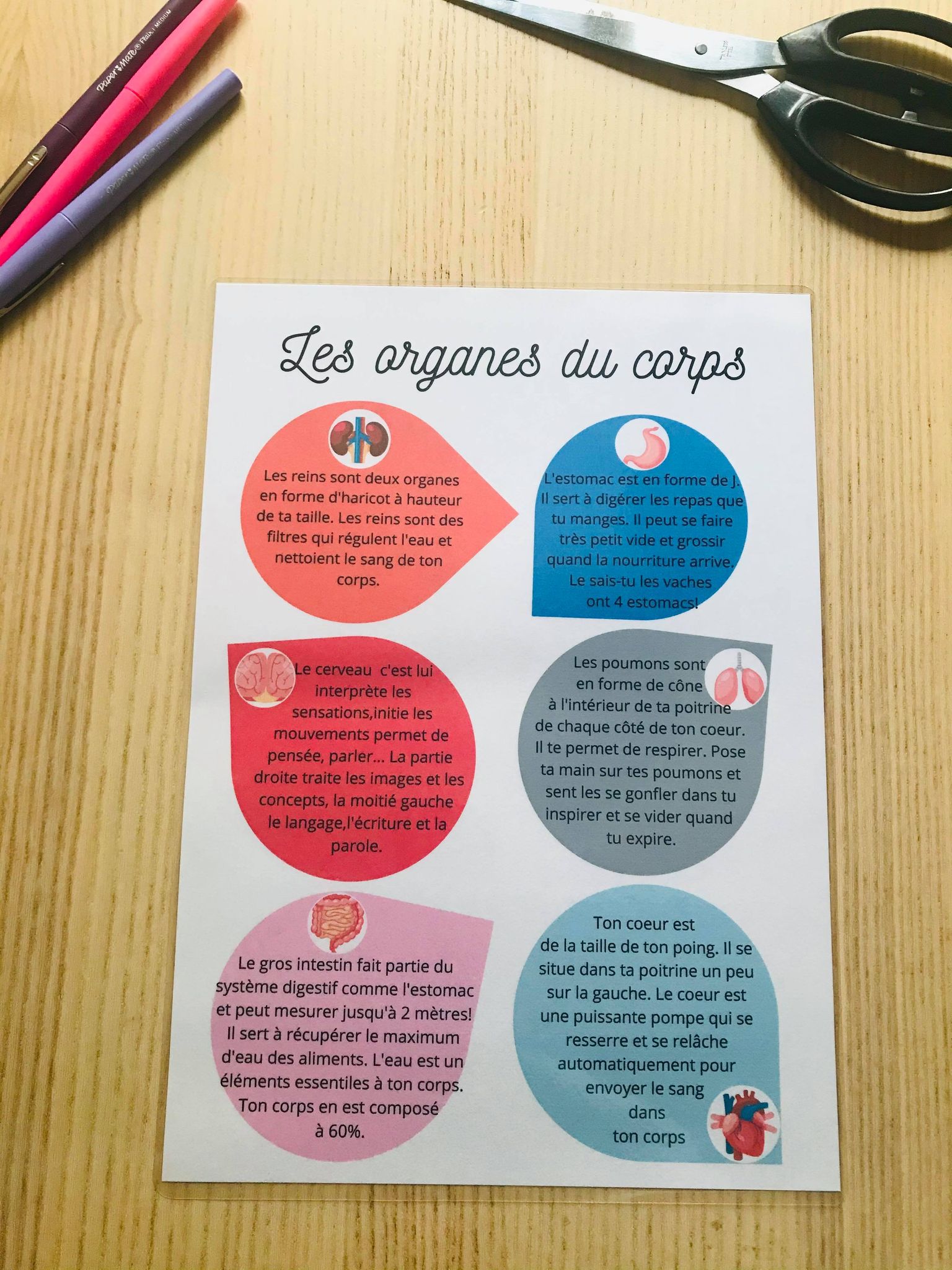 PDF quiet book du corps humain à imprimer – Image 10
