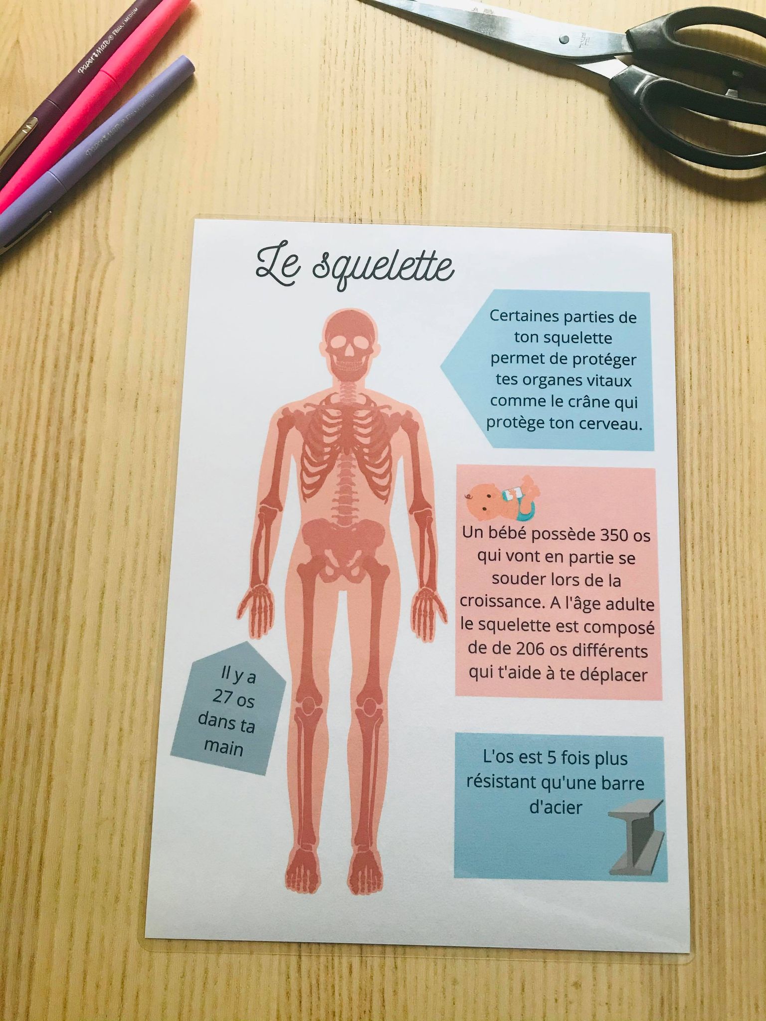 PDF quiet book du corps humain à imprimer – Image 9