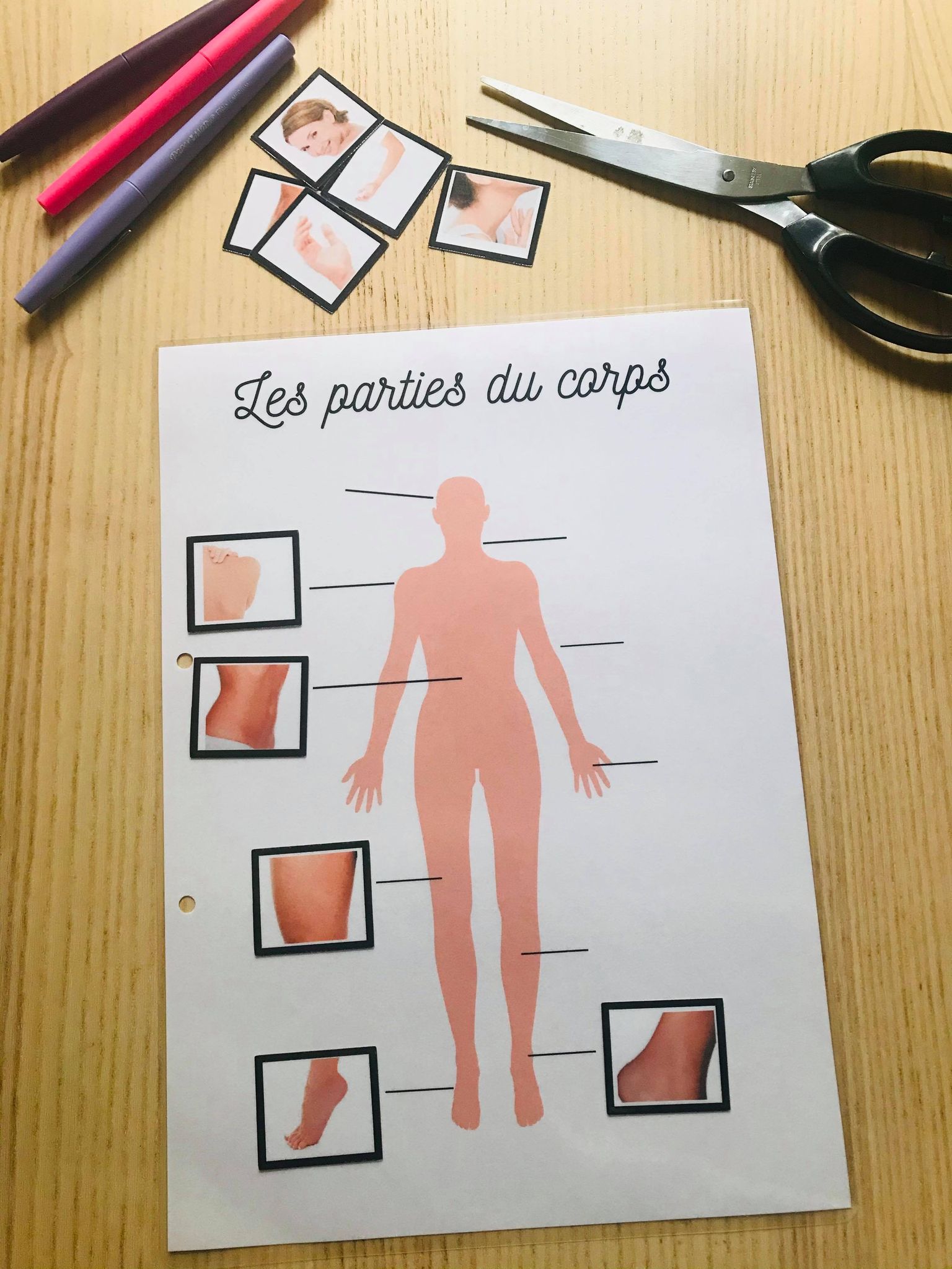 PDF quiet book du corps humain à imprimer – Image 6