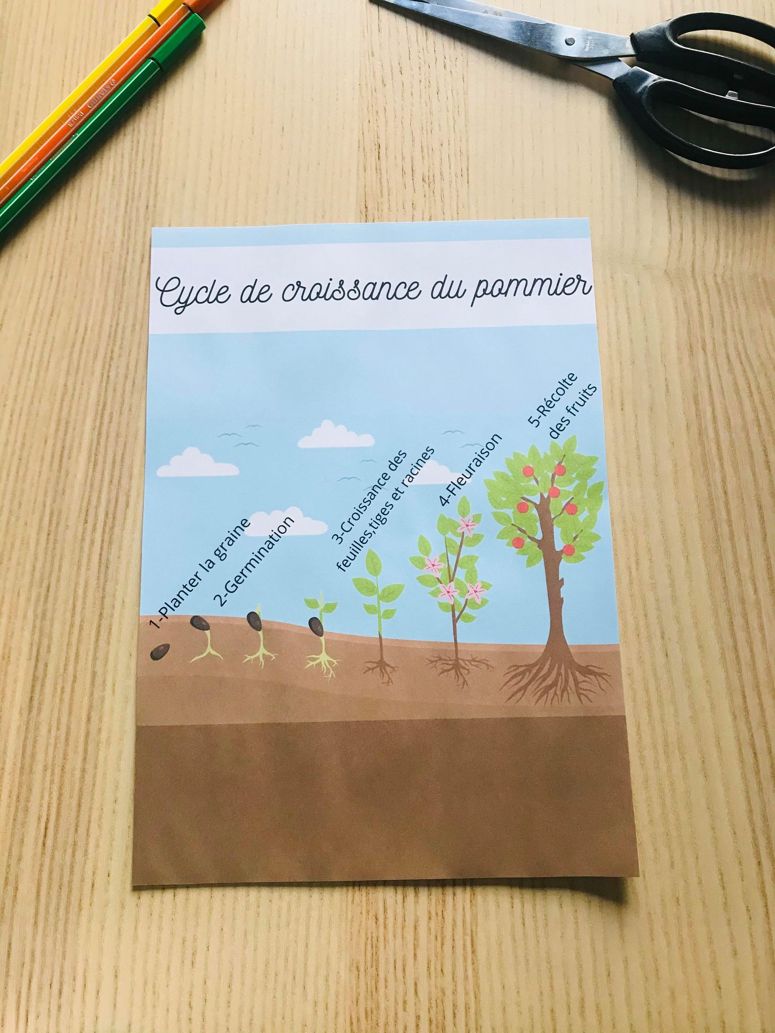 Livret sur les fruit et légumes prêt à l'emploi – Image 16