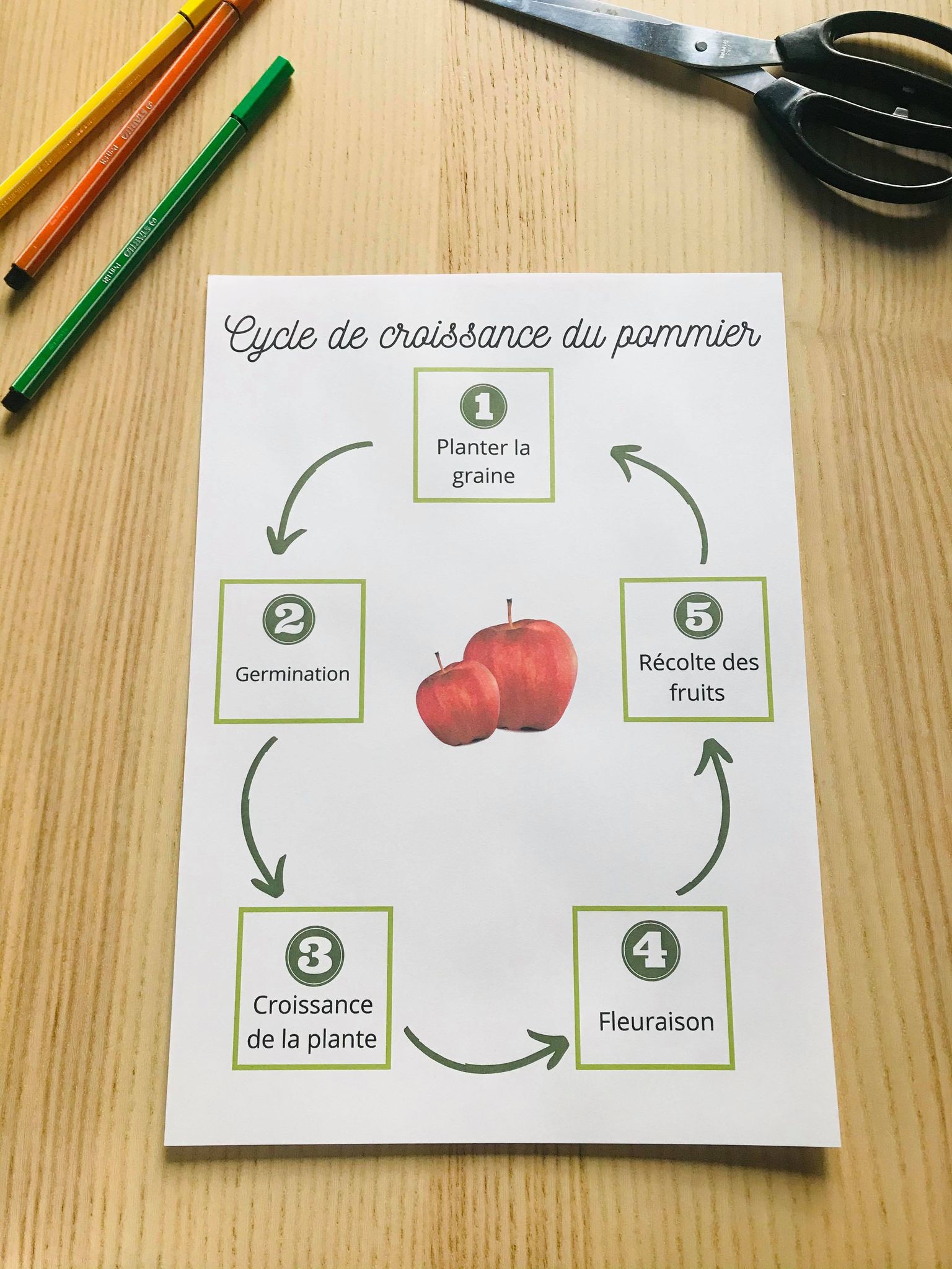 Livret sur les fruit et légumes prêt à l'emploi – Image 17