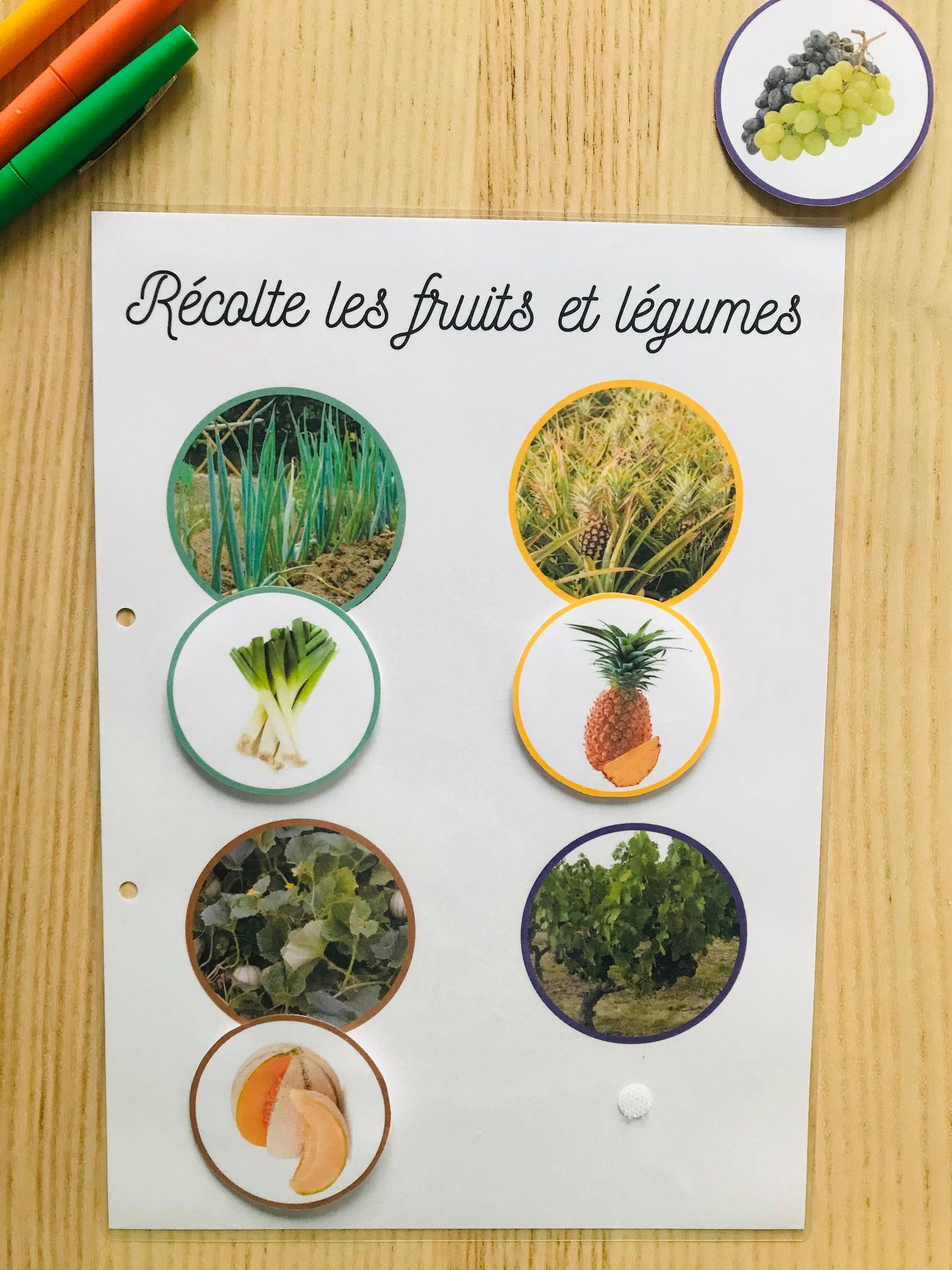 Livret sur les fruit et légumes prêt à l'emploi – Image 14