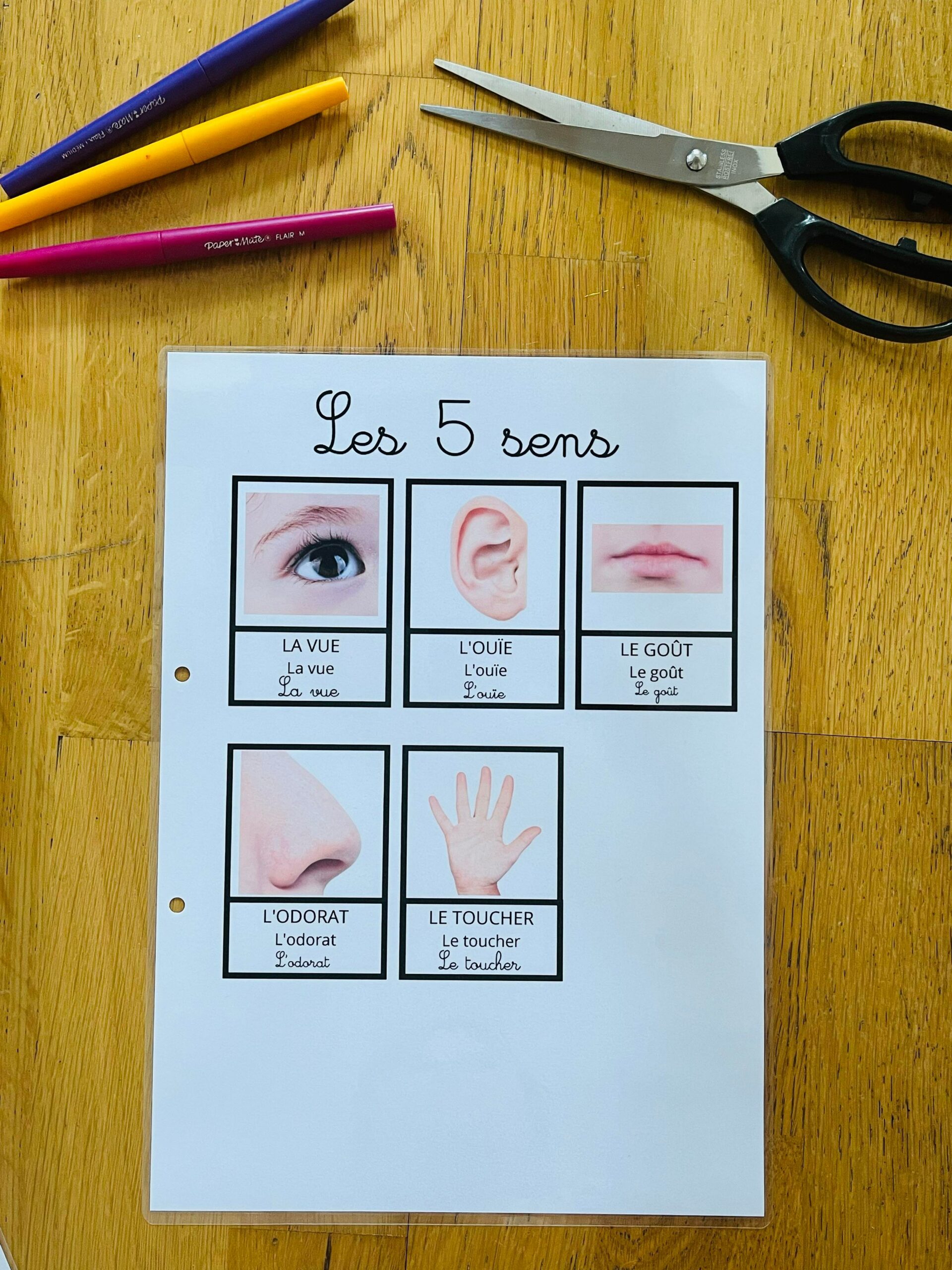 Cahier d'activités maternelles à découper – Image 19