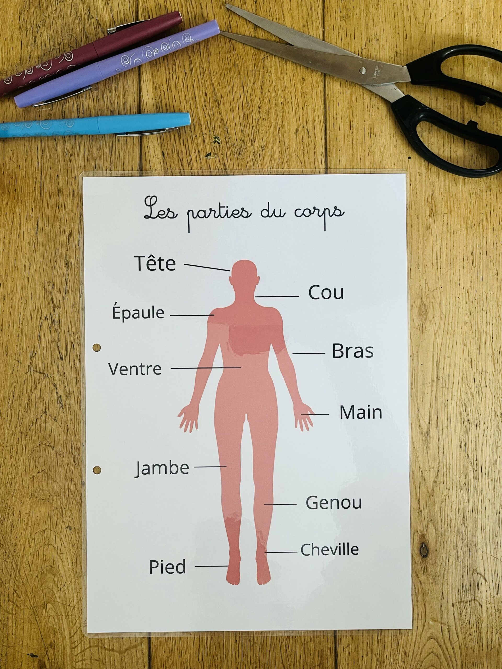 PDF quiet book du corps humain à imprimer – Image 33