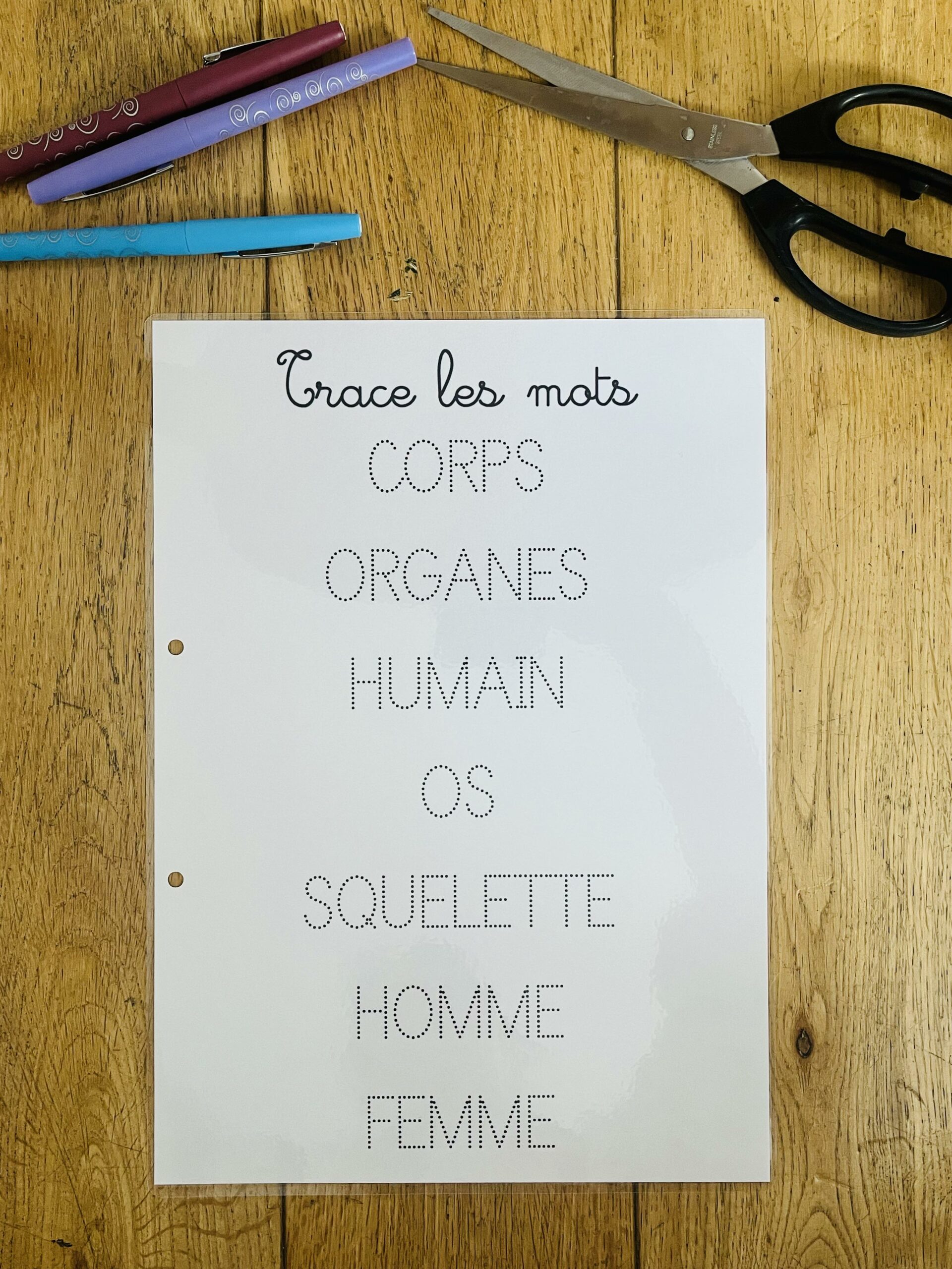 PDF quiet book du corps humain à imprimer – Image 26