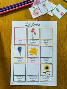Cartes de nomenclature sur les fleurs montessori