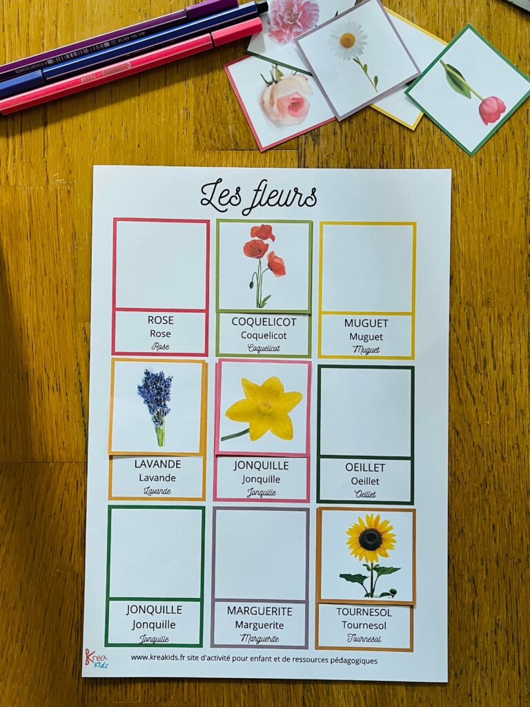 Cartes de nomenclature sur les fleurs montessori