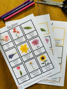 Cartes de nomenclature sur les fleurs montessori