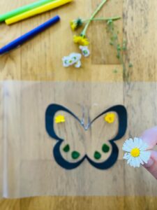 Bricolage papillon pour enfant