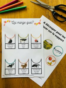 Activité montessori pour enfant