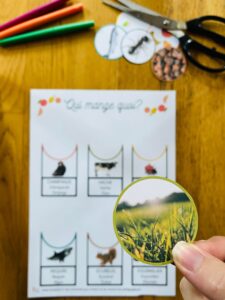 Activité montessori pour enfant