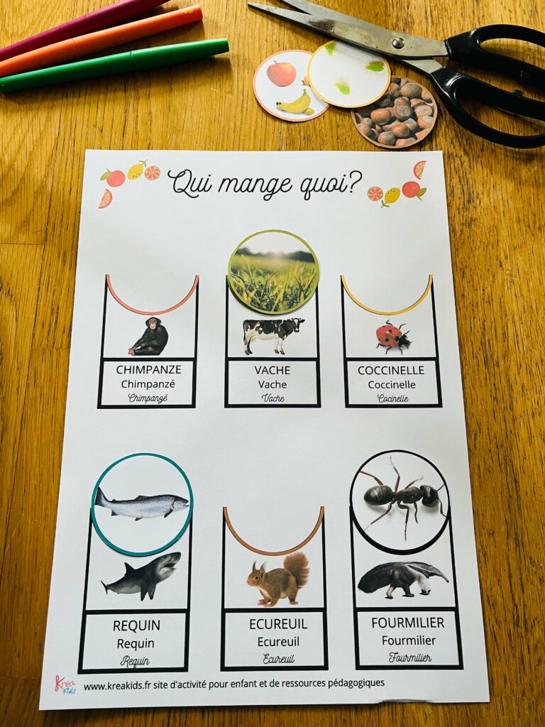 Activité montessori pour enfant