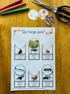 Activité montessori pour enfant