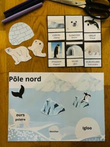 Activité sur le pôle nord montessori