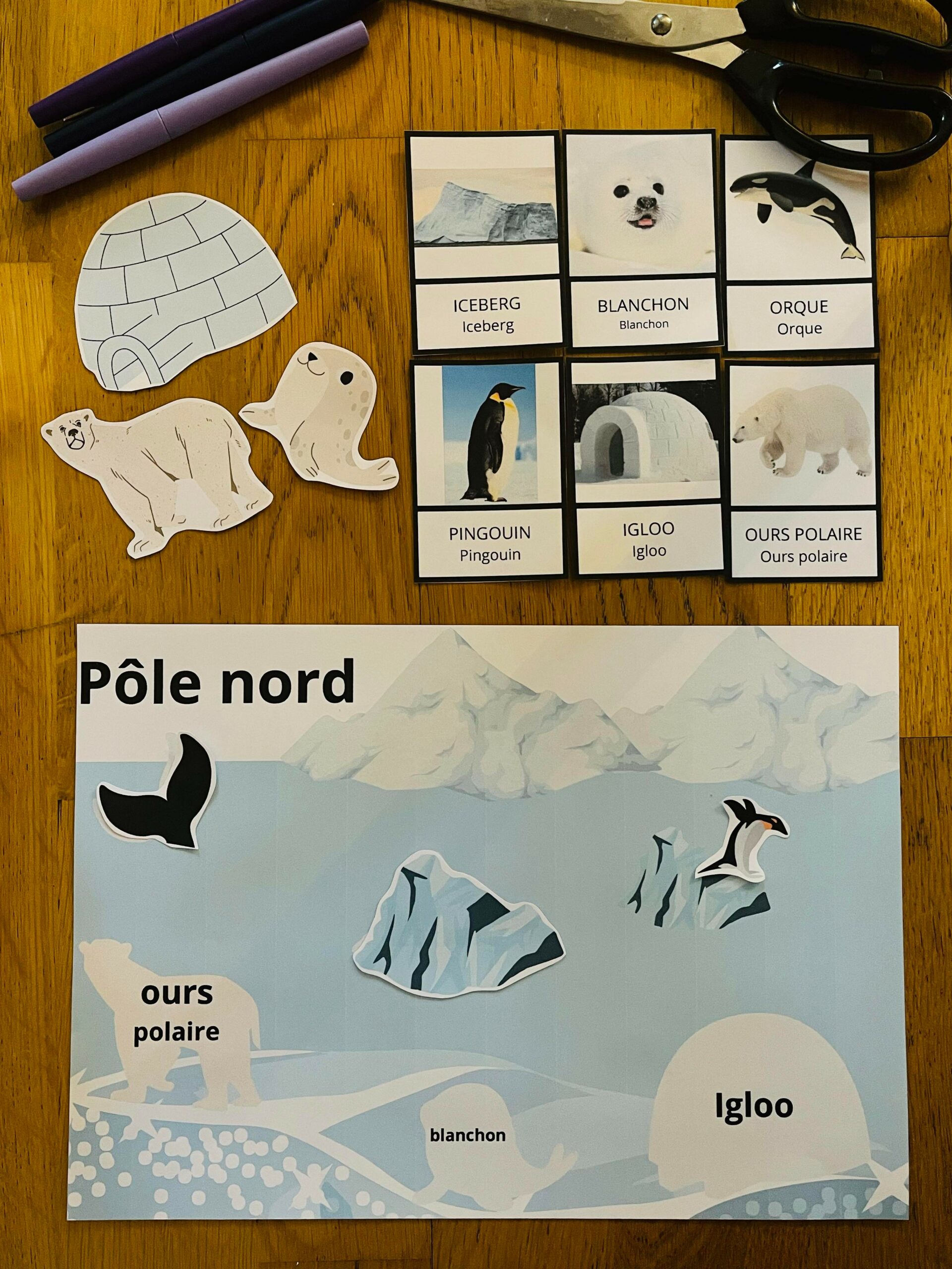 Coloriage Pôle Nord À Imprimer