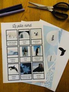 Activité sur le pôle nord montessori