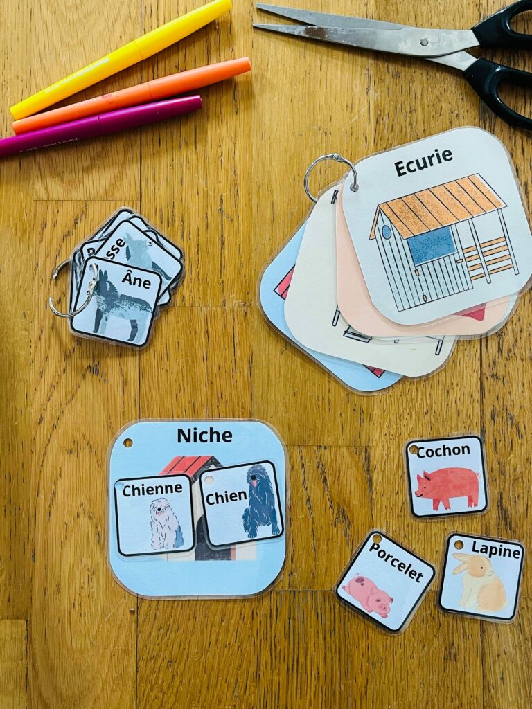 Jeu sur les familles d'animaux gratuit
