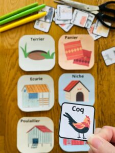 Jeu sur les familles d'animaux gratuit