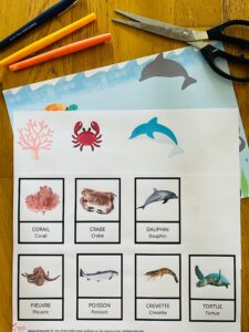 Carte de nomenclature animaux de la mer